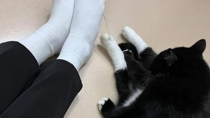Ne yaptığını merak ettiğiniz biri var mı?