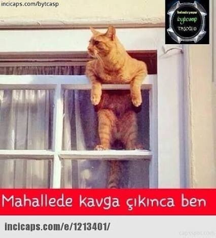 "Sadece sana yazıyorum" diyen erkek doğru mu söylüyordur?