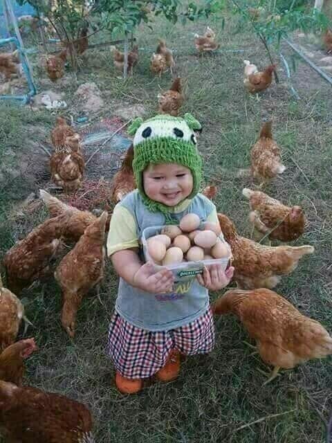 Her gün yumurta yiyor musunuz?