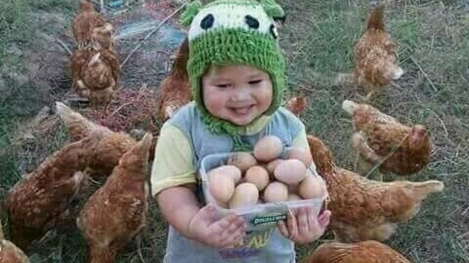 Her gün yumurta yiyor musunuz?