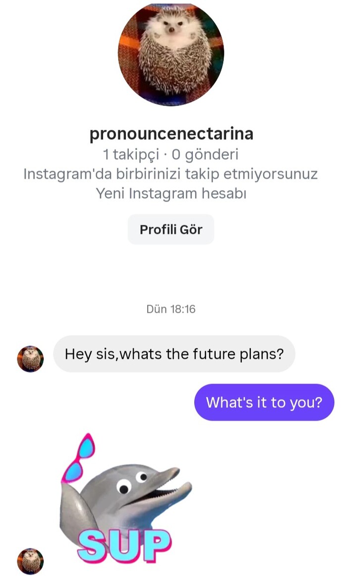 Yabancı biri bana bacım gelecek planların ne yazdı amacı ne olabilir?