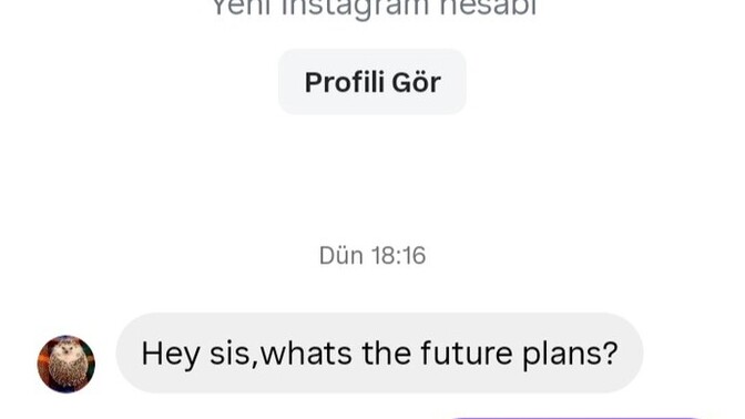 Yabancı biri bana bacım gelecek planların ne yazdı amacı ne olabilir?