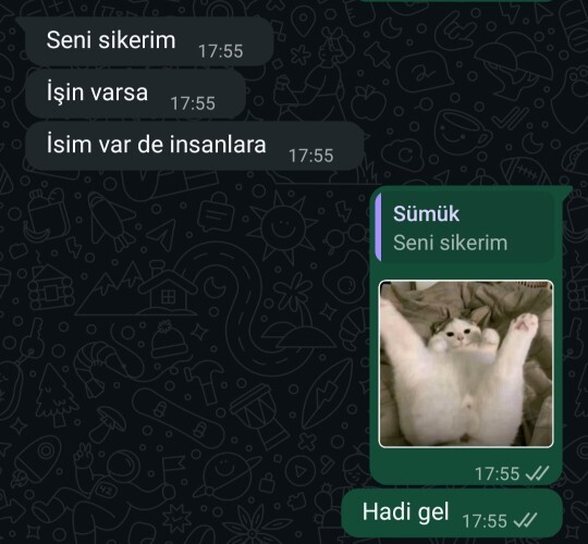Ablam hep bu tarz küfürler ediyor napmalıyım?