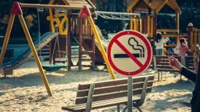 Park ve bahçelerde sigara içilmesinin yasaklanması hakkında ne düşünüyorsunuz?