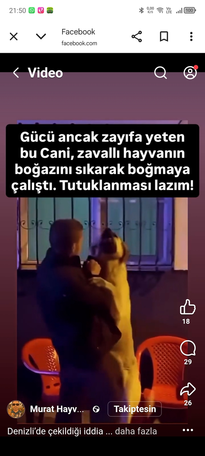 Hayvan düşmanlarının aramızda işi ne?