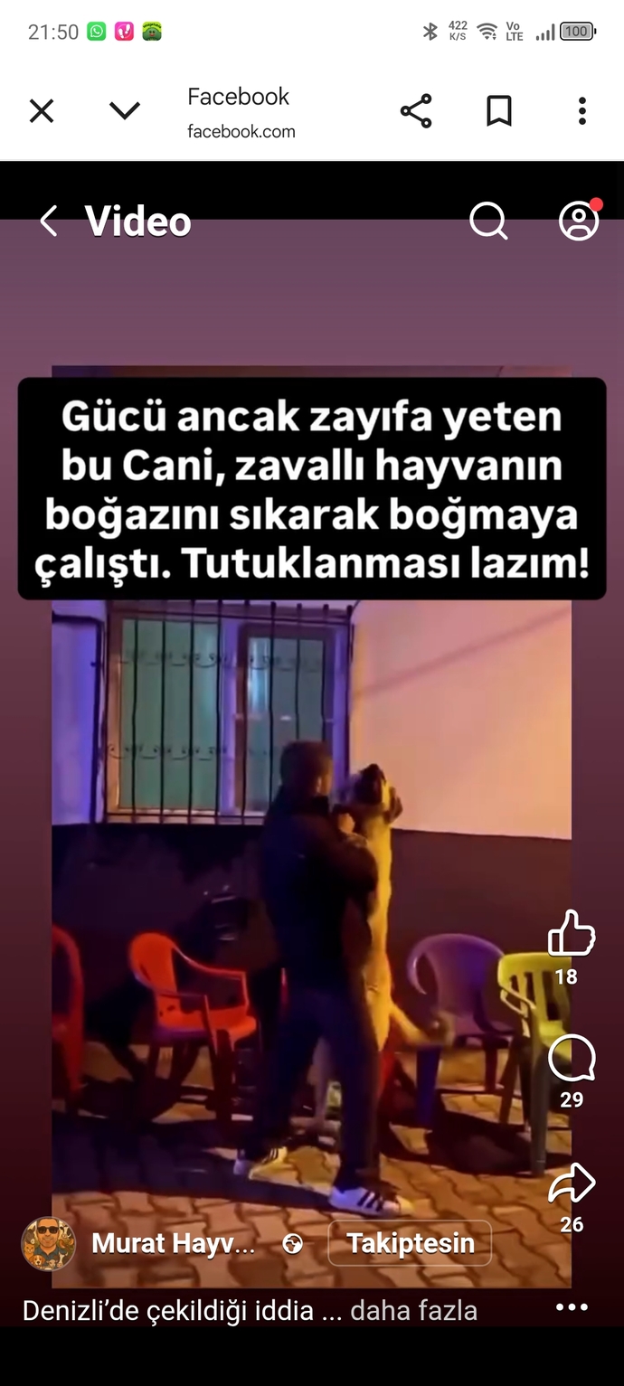 Hayvan düşmanlarının aramızda işi ne?