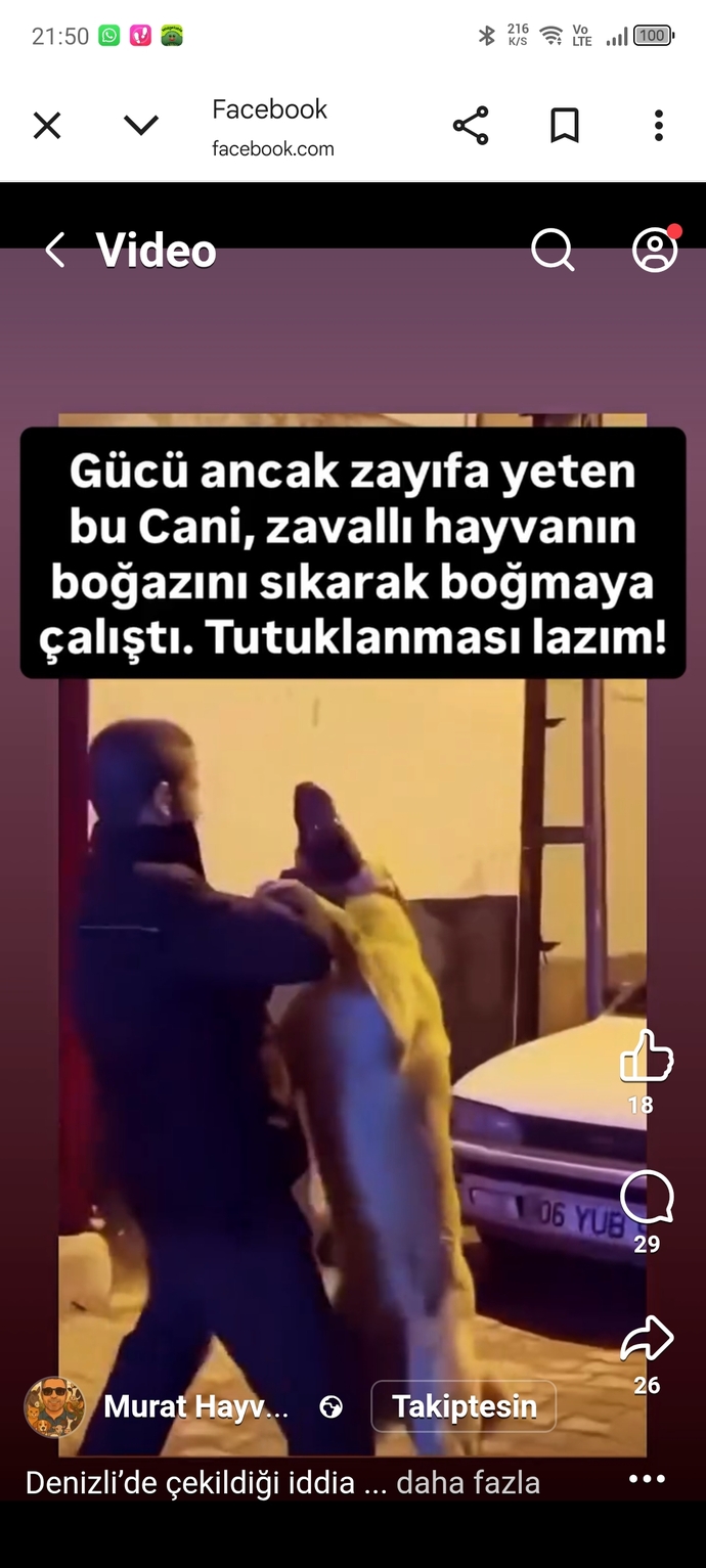 Hayvan düşmanlarının aramızda işi ne?