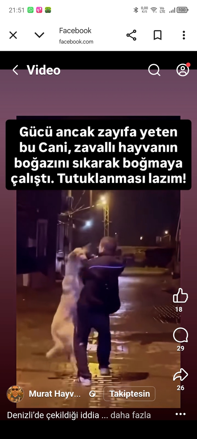 Hayvan düşmanlarının aramızda işi ne?