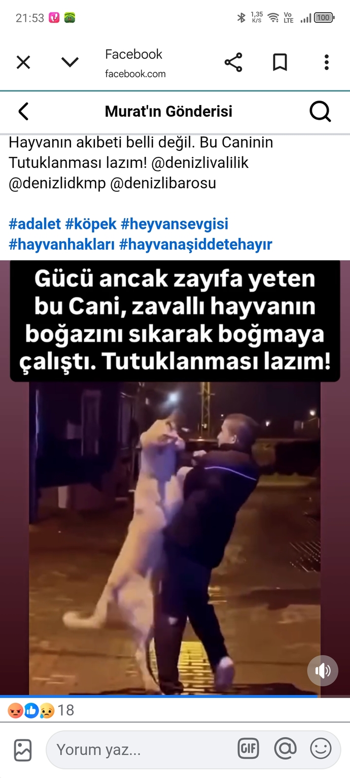 Hayvan düşmanlarının aramızda işi ne?