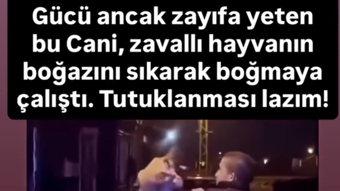Hayvan düşmanlarının aramızda işi ne?