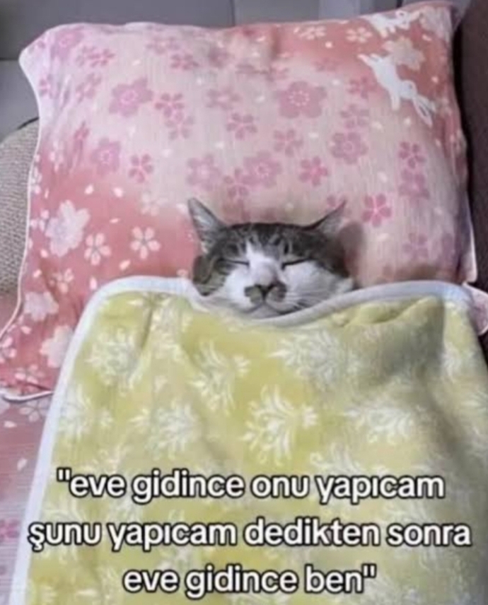 Yarın büyük gün, camları sileyim diyorum, sizde ne var ne yok?