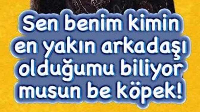 Başkaları üzerinden ego yapan insanlar hakkında düşünceniz nedir?