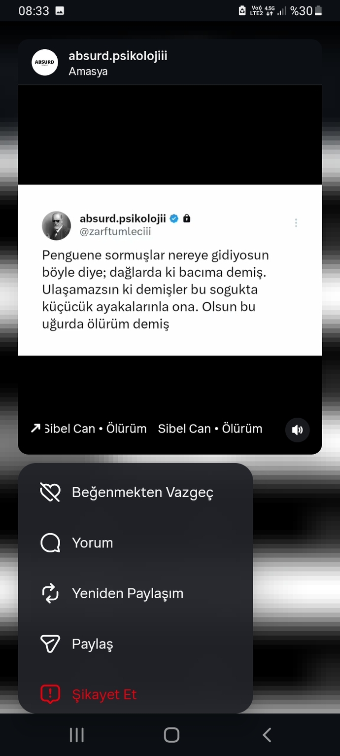 Bir penguen meselesi xcwb