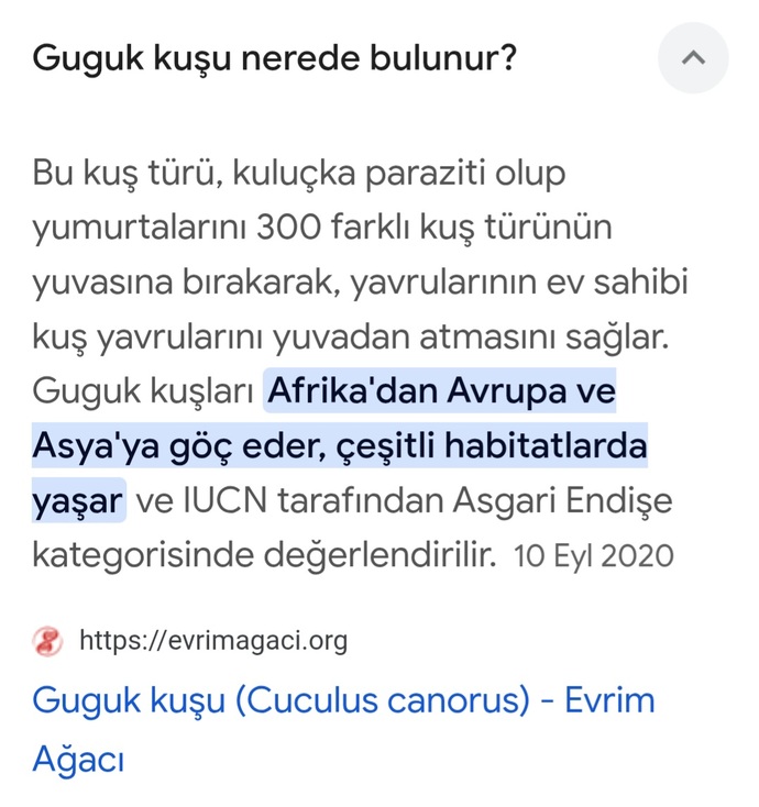 En son öğrendiğiniz hangi bilgi sizi dehşete düşürdü 😬?