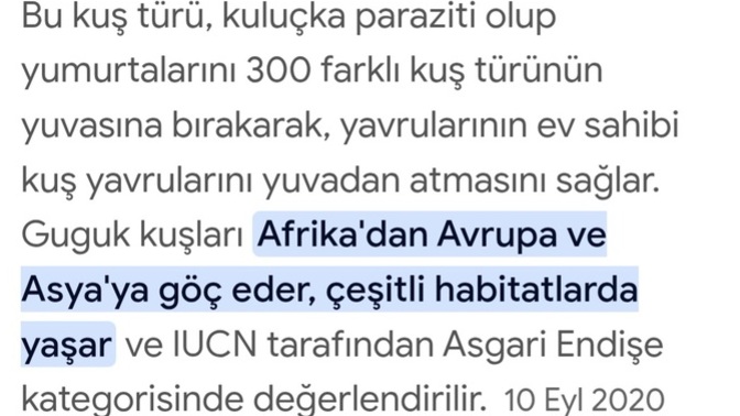 En son öğrendiğiniz hangi bilgi sizi dehşete düşürdü 😬?