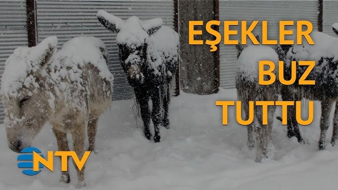Banyo yapanken sıcak su mu soğuk su mu tercih ediyorsunuz?