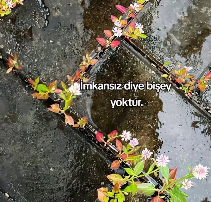 İlişkilerde imkansız aşkı mı seçersin yoksa kolay ilişkiyi mi tercih edersin 😇?