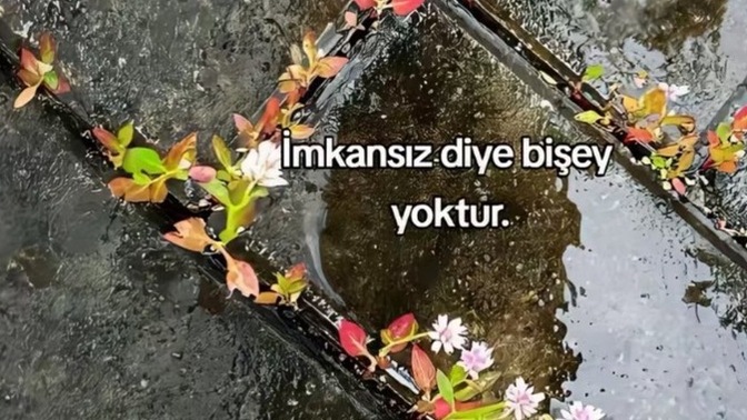 İlişkilerde imkansız aşkı mı seçersin yoksa kolay ilişkiyi mi tercih edersin 😇?