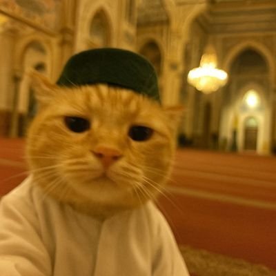 Gece evinizde böyle bir şey görseniz ne yapardınız?