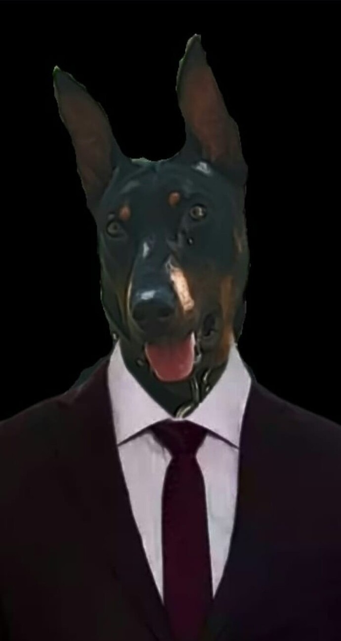 Kedi kumu mu köpek tüyü mü zor sizce?