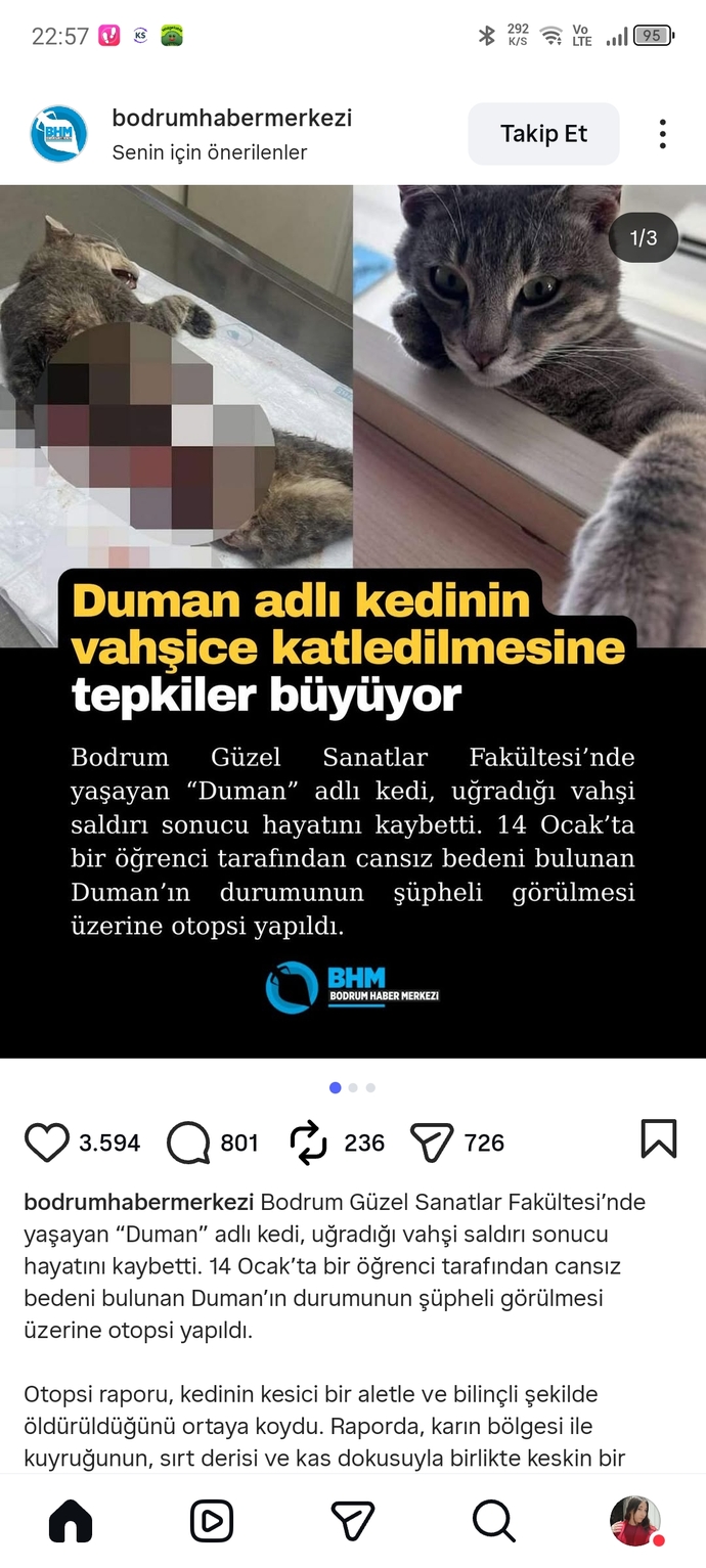 Böyle ülkede nasıl hayatta kalınır?