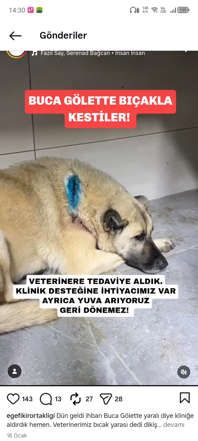 Böyle ülkede nasıl hayatta kalınır?