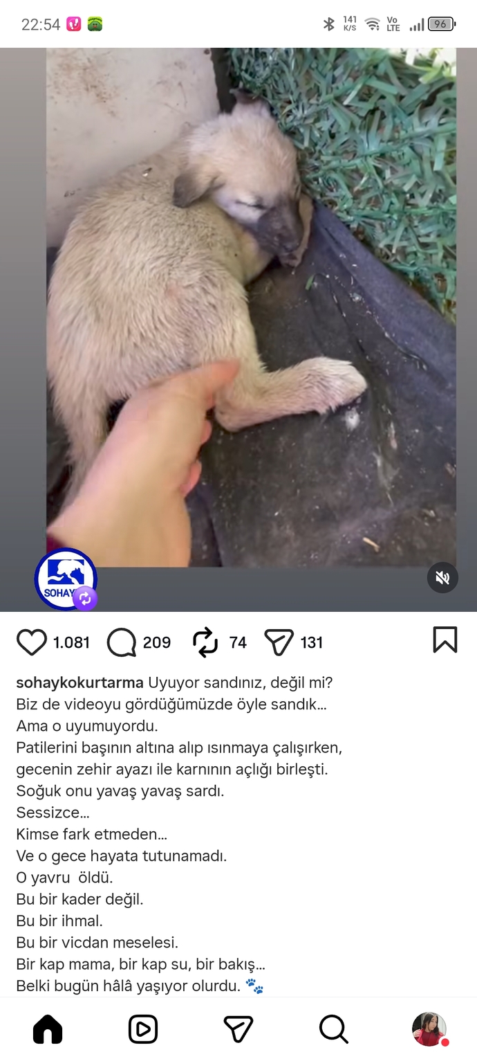 Böyle ülkede nasıl hayatta kalınır?