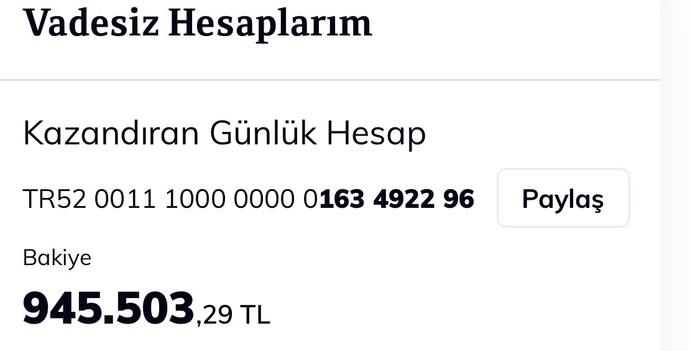 Günlük 850 tl faiz almak mantıklımı?