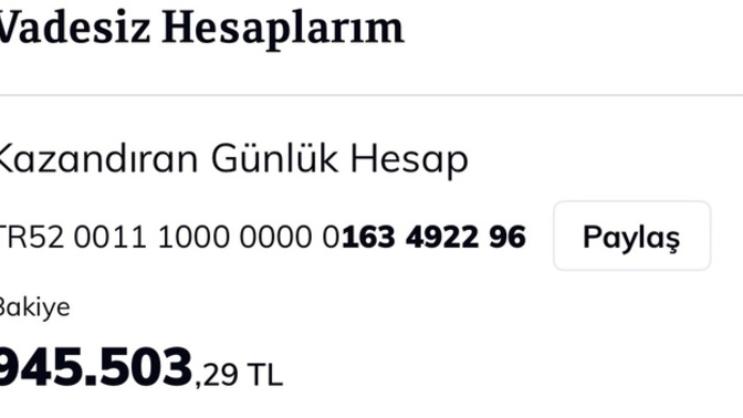Günlük 850 tl faiz almak mantıklımı?