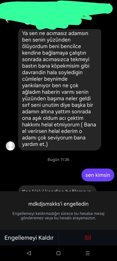 Hiç bir başkası kendi hatası için sizi suçladımı?