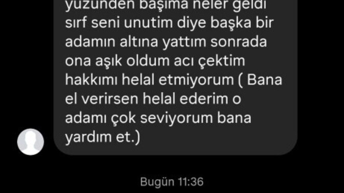 Hiç bir başkası kendi hatası için sizi suçladımı?
