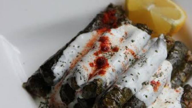 Sarmayı yoğurtla mı yersin yoğurtsuz mu daha güzel oluyor sence?