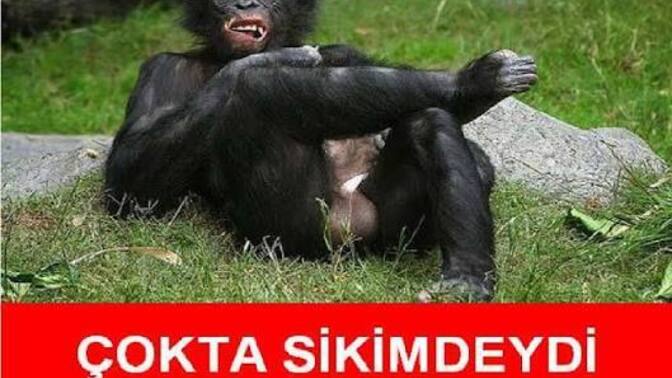 Beni ilk başta isteyen görücü kızı şimdi istemiyormuş niyekine?