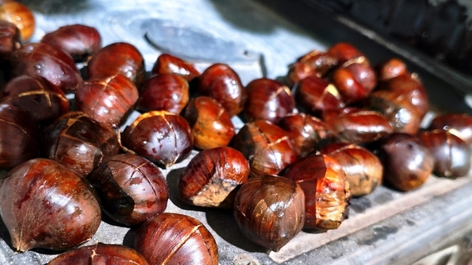 Ellerimle kestane yedireceğim sevgiliyi nerede bulabilirim?