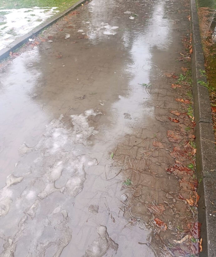 Yağmurlu havada yürüyüş yapmayı sever misin?