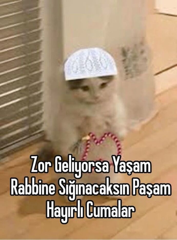 Gelen cuma mesajlarına hiç bakmadan "Amin" yazan en sevgili mümin kardeşim, sana da hayırlı cumalar olsun mu 😇?
