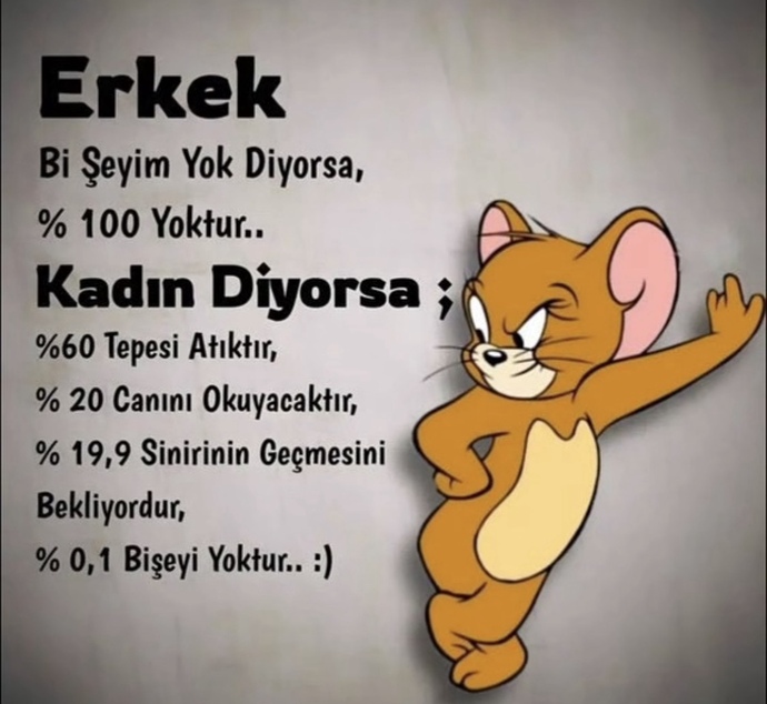 Kadınlar bir şeyim yok diyorsa ne demek istiyorsur?