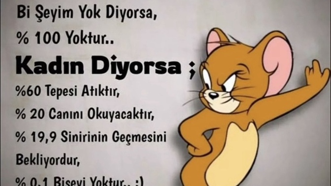 Kadınlar bir şeyim yok diyorsa ne demek istiyorsur?