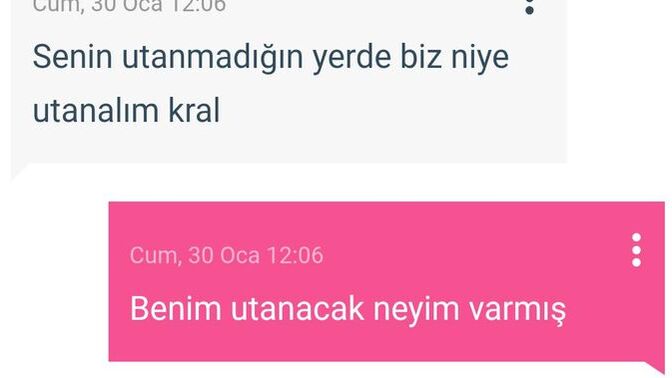 Burada şair ne demek istiyor tam olarak derdi ne?