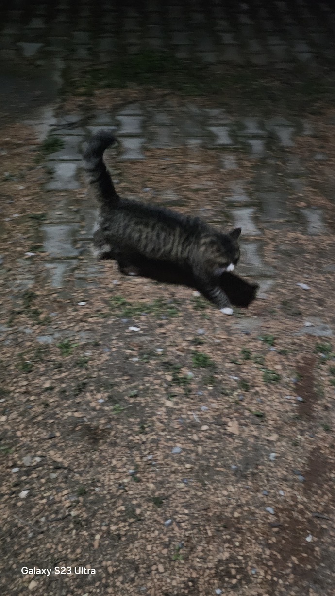 Gecenize kimler ya da neler eşlik ediyor, şu an ne yapıyorsunuz?