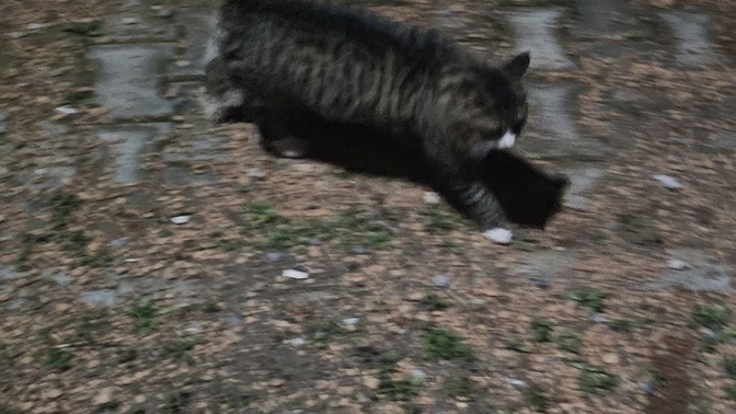 Gecenize kimler ya da neler eşlik ediyor, şu an ne yapıyorsunuz?