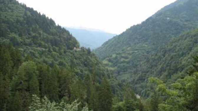 Sizin de bir şarkıyla bir anıya ışınlandığınız oluyor mu?