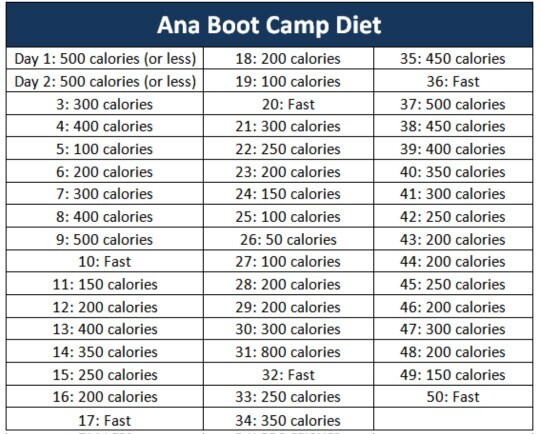 ABC (Ana Boot Camp) diyetini deneyen var mı?