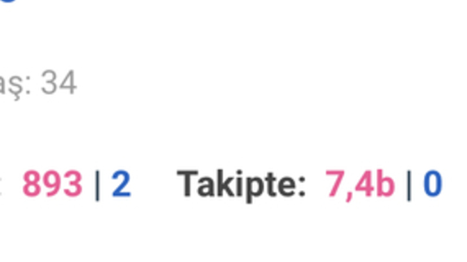 Erkekler neden bu kadar çok kız takip ediyor, amaç ne sizce?