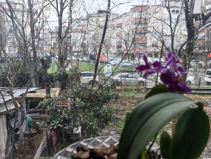 Sizi en mutsuz anınızda bile gülümseten o 'küçük ama dev' şey ne?