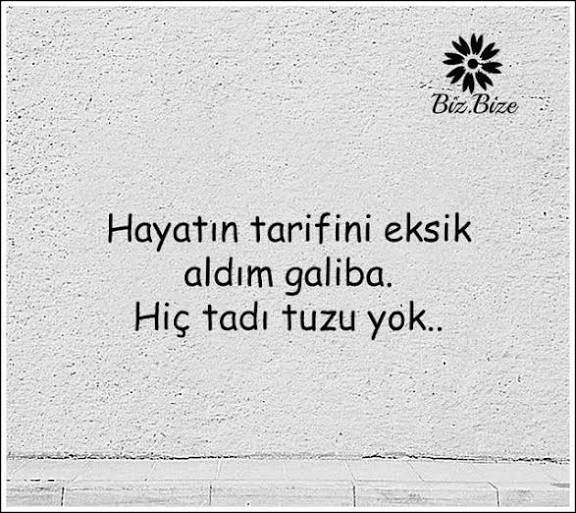 Belli bir yaşdan sonra hayatın tadı tuzu kaçıyormu yoksa bu sadece gelir geçer bir dönem mi?