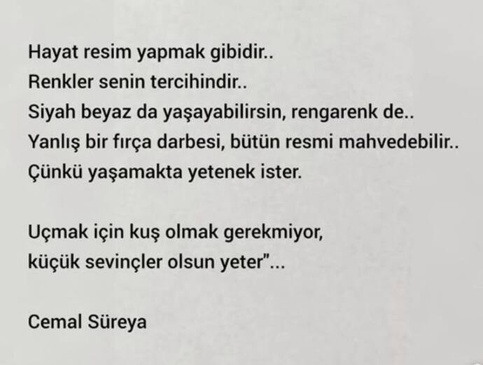 Cemal Süreya ile hayat görüşüm çok uyumlu❤️