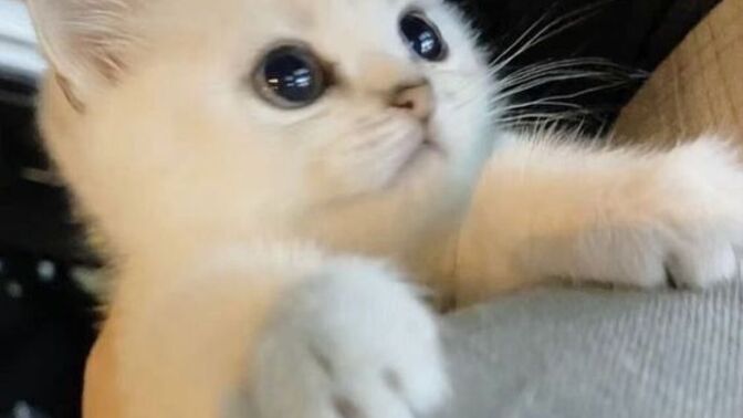İyi geceler, neden uyumadınız 🌸?