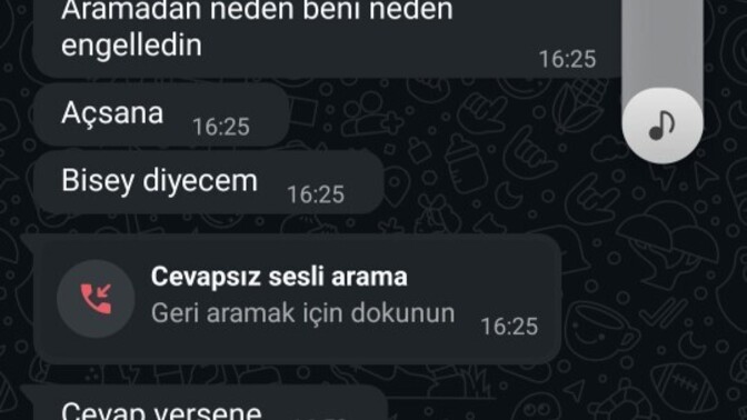 Seven kişi bunlar söyler mi?