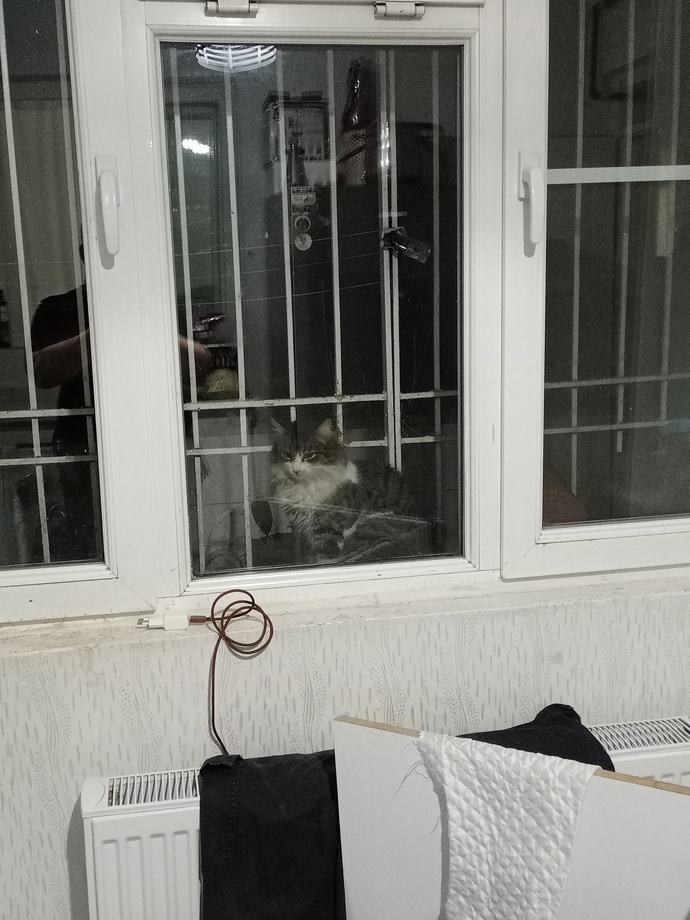 Sizde mutfağı temizlerken izleyen birileri var mı?